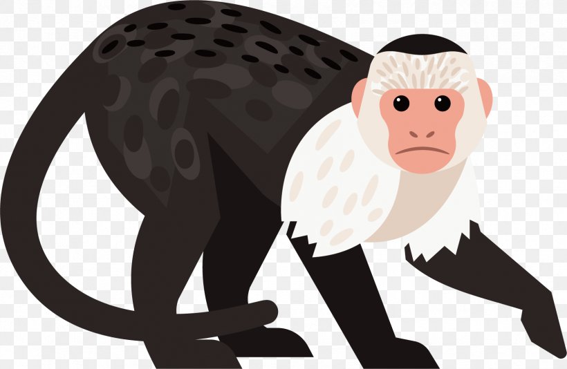 Gibbon Baboons Chimpanzee Monkey, PNG, 1695x1105px, Gibbon, Adobe Creative Cloud, Ape, Art, Baboons Download Free