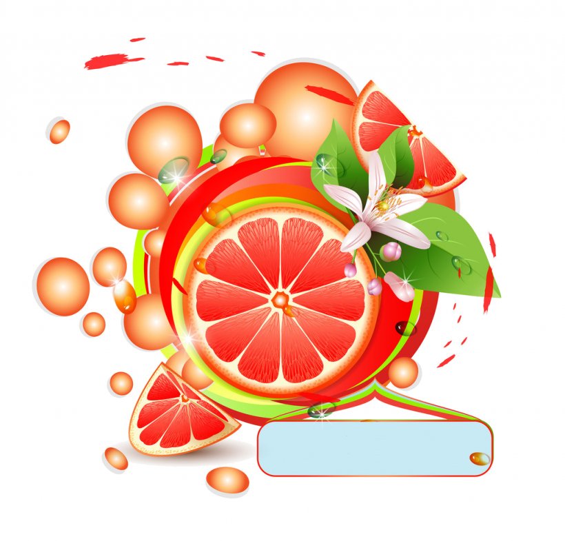Grapefruit Juice Drawing Clip Art, PNG, 1024x981px, Grapefruit Juice, Citrus, Diet Food, Drawing, Food Download Free