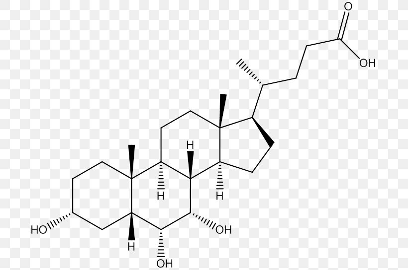 Bile Acid Chenodeoxycholic Acid Acetic Acid, PNG, 703x544px, Acid, Acetic Acid, Active Ingredient, Area, Bile Download Free