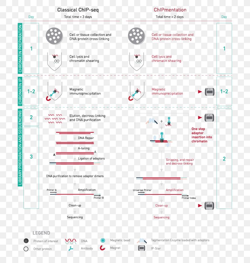 ChIP-sequencing Chromatin Immunoprecipitation DNA Genome, PNG, 728x860px, Chipsequencing, Area, Biology, Brand, Cell Download Free
