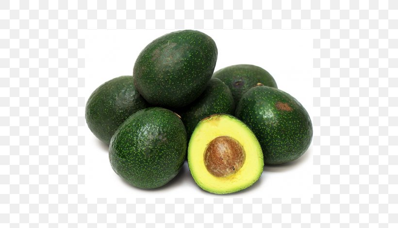 Hass Avocado Maluma Fruit Tree Agriculture, PNG, 470x470px, Hass Avocado, Agriculture, Ahuntz, Avocado, Citrus Download Free