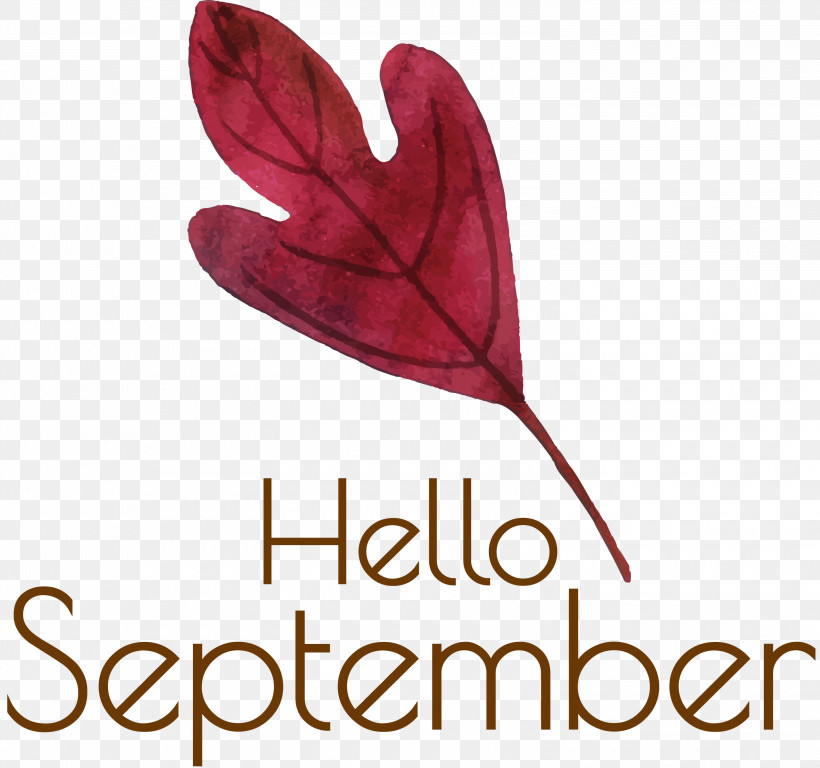 Hello September September, PNG, 3000x2810px, Hello September, Flower, Heart, Leaf, Meter Download Free