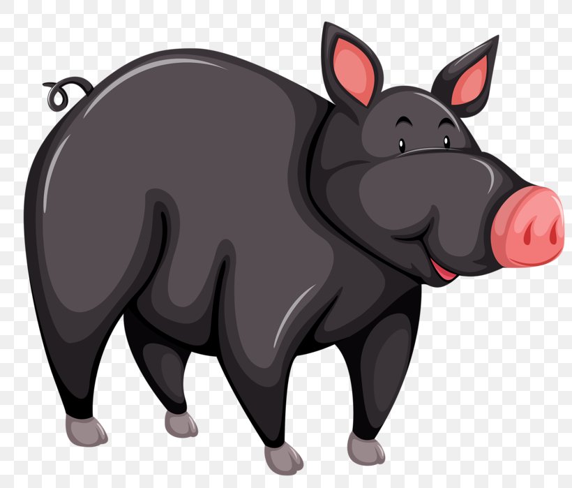Large Black Pig Black Iberian Pig Cartoon, PNG, 800x699px, Large Black Pig, Animal, Black Iberian Pig, Cartoon, Domestic Pig Download Free