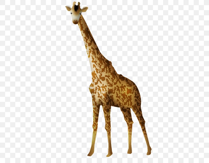 Northern Giraffe Animation Clip Art, PNG, 640x640px, Northern Giraffe, Animal Figure, Animation, Blog, Fauna Download Free