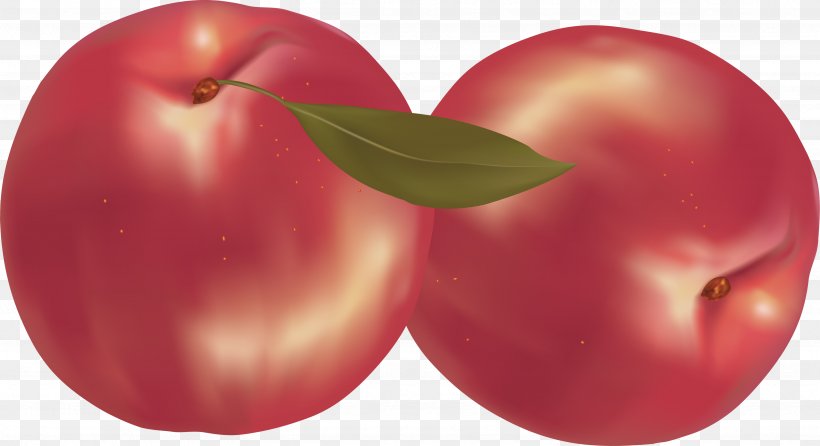 Apple Fruit Comparison Chart