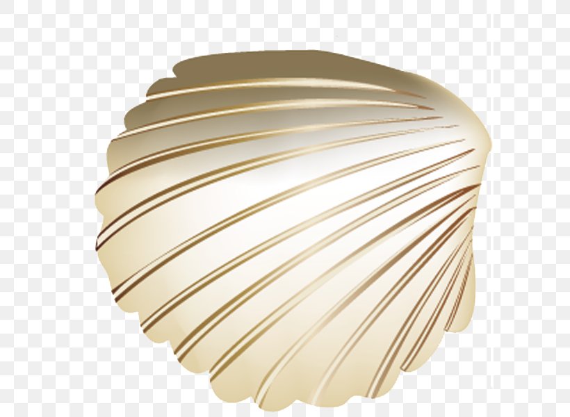 Toy Seashell Gratis Download, PNG, 600x600px, Toy, Ceiling Fixture, Designer, Gratis, Light Fixture Download Free