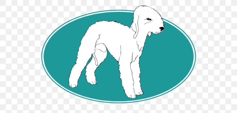 Llama Bedlington Terrier Assur O'Poil Breed, PNG, 720x390px, Watercolor, Cartoon, Flower, Frame, Heart Download Free