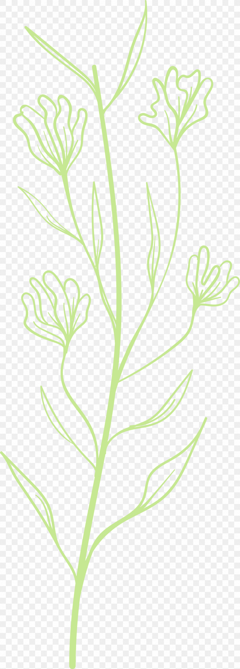 Simple Leaf Simple Leaf Drawing Simple Leaf Outline, PNG, 1303x3629px, Simple Leaf, Branch, Flower, Grasses, Herbaceous Plant Download Free