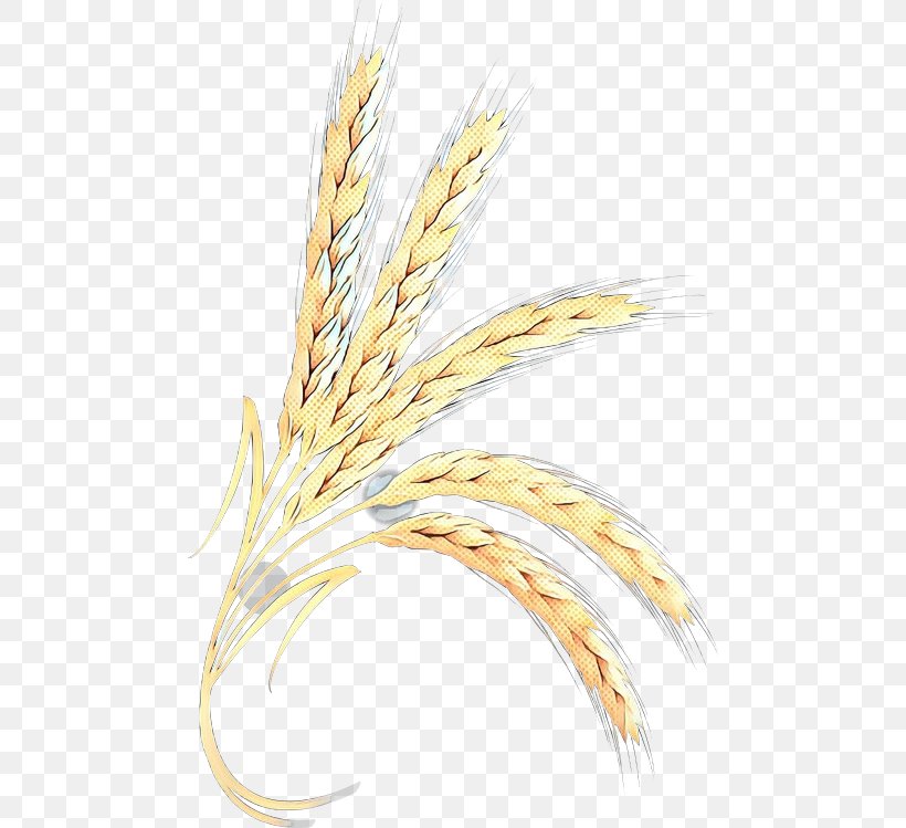 Emmer Grain Wheat, PNG, 480x749px, Emmer, Elymus Repens, Food Grain, Grain, Grass Download Free