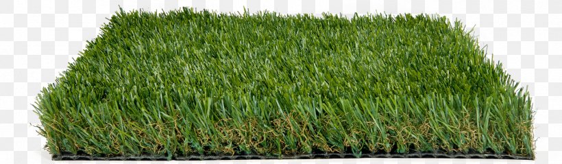 Green Grass Background, PNG, 1500x438px, Artificial Turf, Australia, Australians, Brand, Commodity Download Free