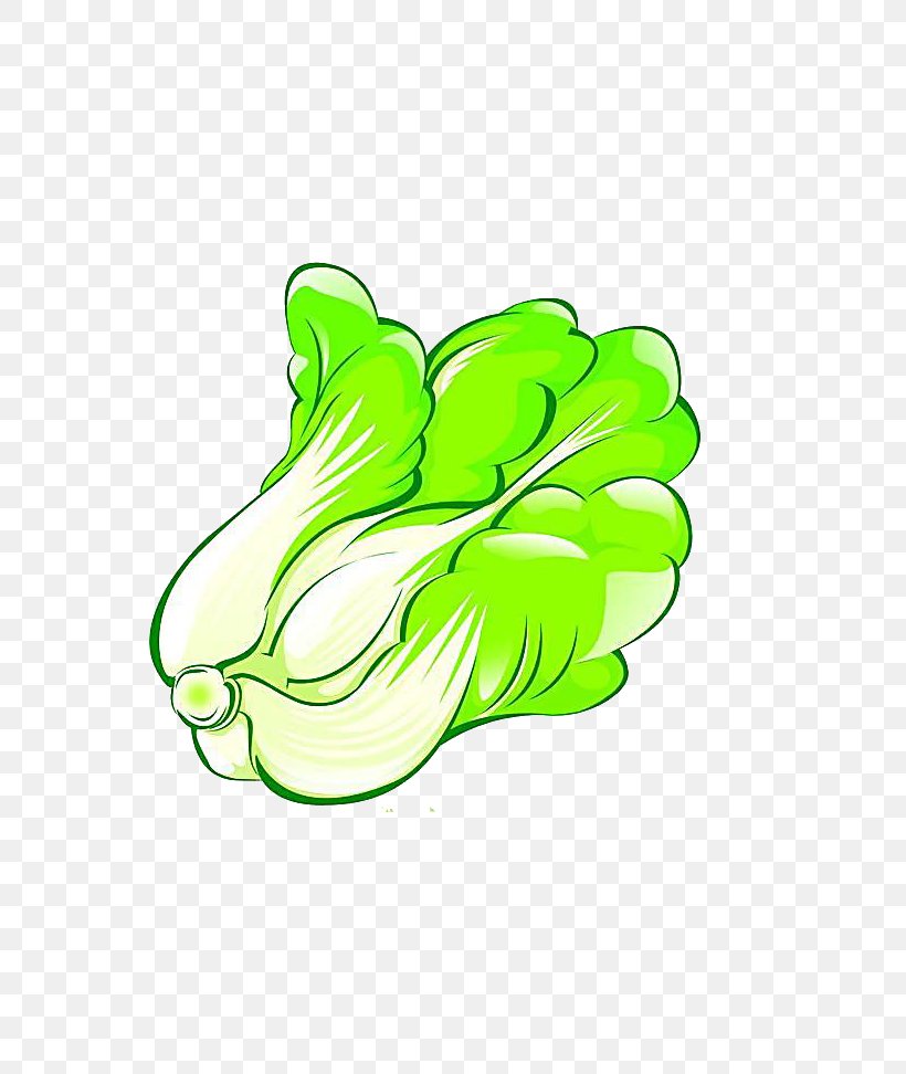 Napa Cabbage Cartoon Vegetable, PNG, 714x972px, Napa Cabbage, Bok Choy, Cabbage, Cartoon, Chinese Cabbage Download Free
