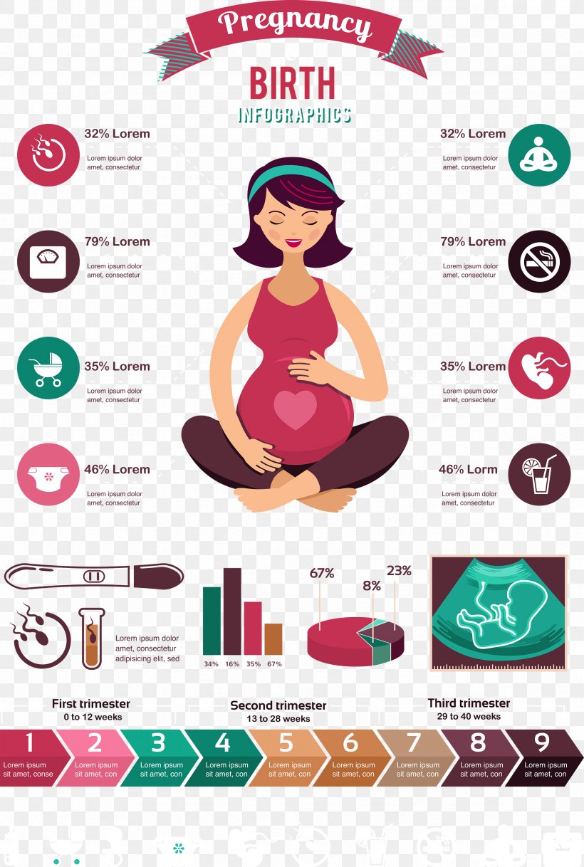 Pregnancy Infographic Computer File, PNG, 2361x3508px, Pregnancy, Advertising, Brand, Communicatiemiddel, Data Download Free