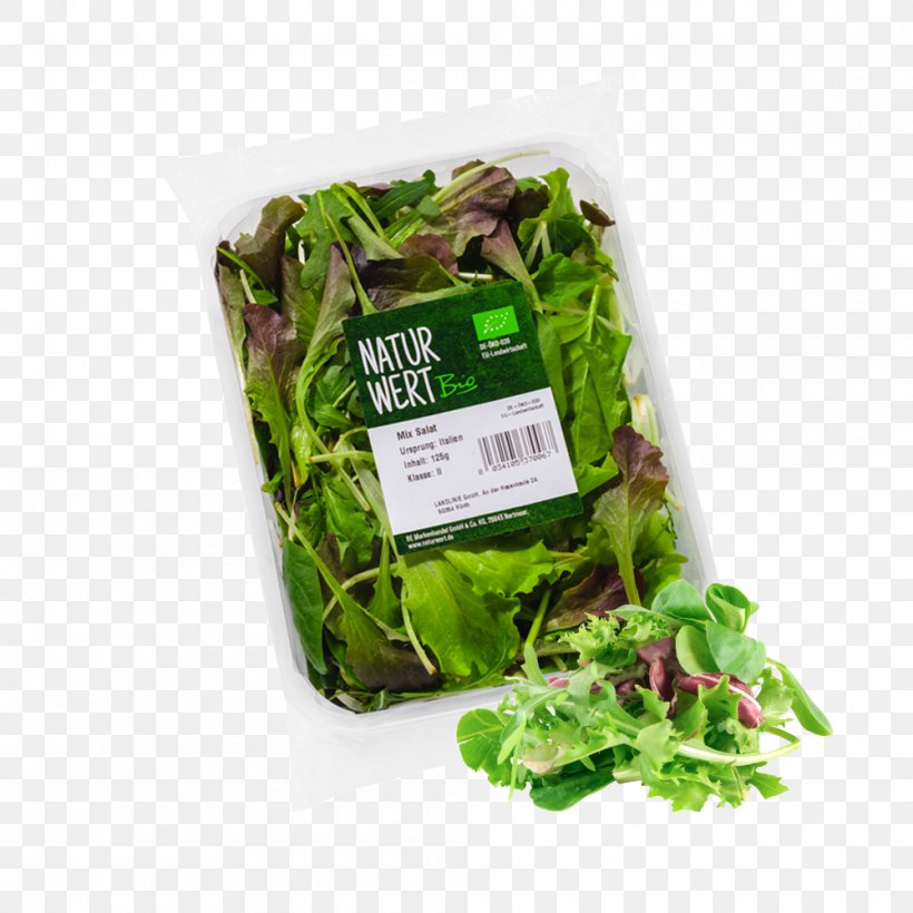 Romaine Lettuce Organic Food Caesar Salad Bildtafel Obst Und Gemüse, PNG, 1000x1000px, Romaine Lettuce, Arugula, Basil, Caesar Salad, Fruit Download Free