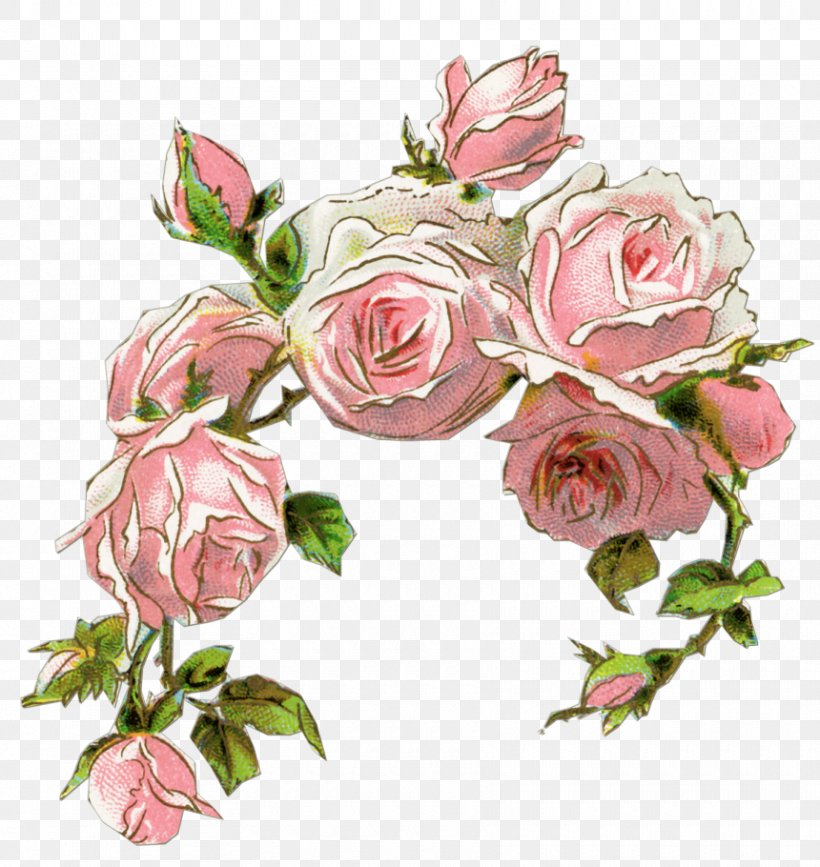 Rose Pink Vintage Clothing Flower Clip Art, PNG, 860x910px, Rose, Antique, Artificial Flower, Cut Flowers, Decoupage Download Free