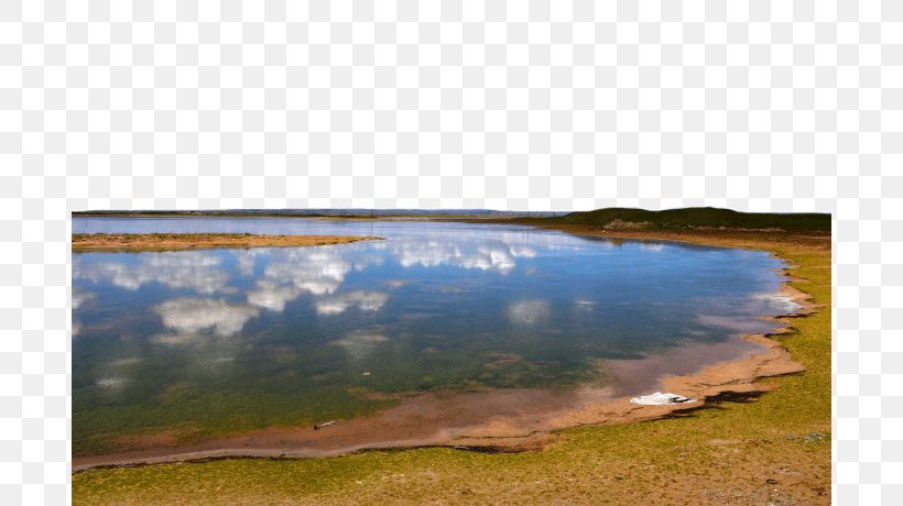 Changtang Shuanghu County Chang Tang Nature Reserve Lake Nyima County, PNG, 690x460px, Changtang, Ecoregion, Ecosystem, Grass, Gratis Download Free
