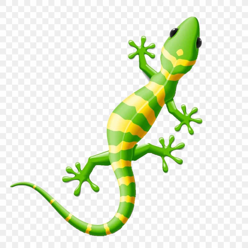 Lizard Reptile Gecko Clip Art, PNG, 1024x1024px, Lizard, Amphibian, Cartoon,  Cuteness, Drawing Download Free