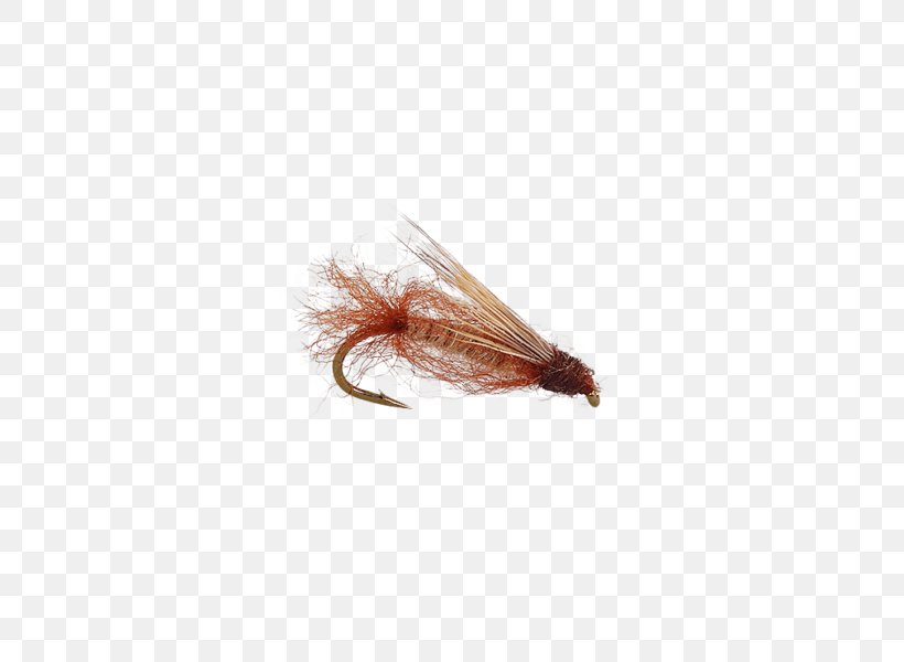Artificial Fly Caddisfly Pupa Fly Fishing Elk Hair Caddis, PNG, 450x600px, Artificial Fly, Beetle, Caddisfly, Elk Hair Caddis, Fishing Download Free