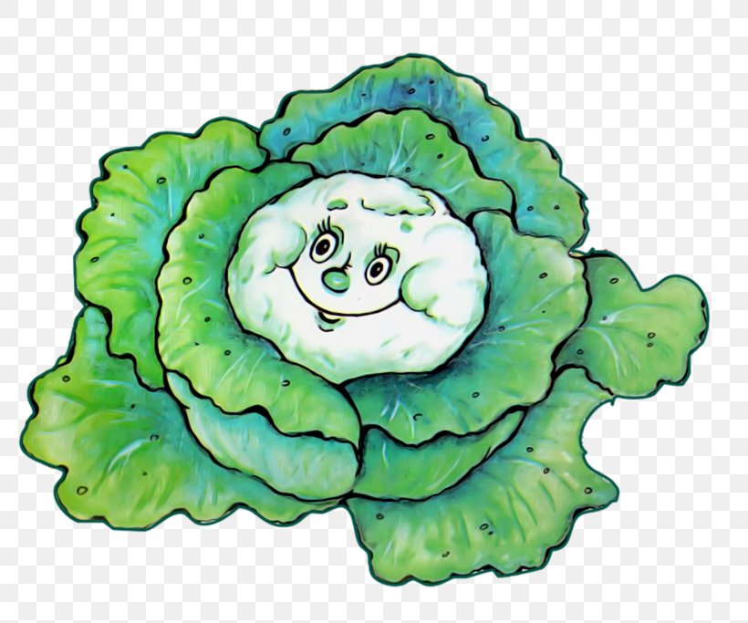 Cabbage Drawing Leaf Vegetable Clip Art, PNG, 800x683px, Cabbage, Brassica Oleracea, Cartoon, Chinese Cabbage, Digital Image Download Free