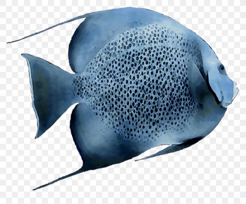 Electric Ray Marine Biology Cobalt Blue, PNG, 1256x1044px, Electric Ray, Biology, Blue, Cobalt, Cobalt Blue Download Free