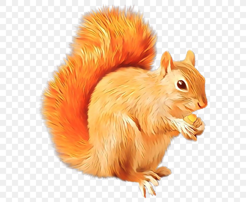 Scrat Squirrel Sid Clip Art, PNG, 600x674px, Scrat, Chipmunk, Eurasian Red Squirrel, Fawn, Fox Squirrel Download Free