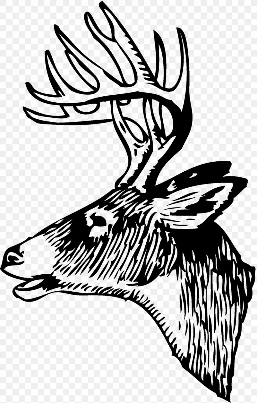 White-tailed Deer Red Deer Elk Clip Art, PNG, 850x1331px, Deer, Antler, Art, Artwork, Beak Download Free