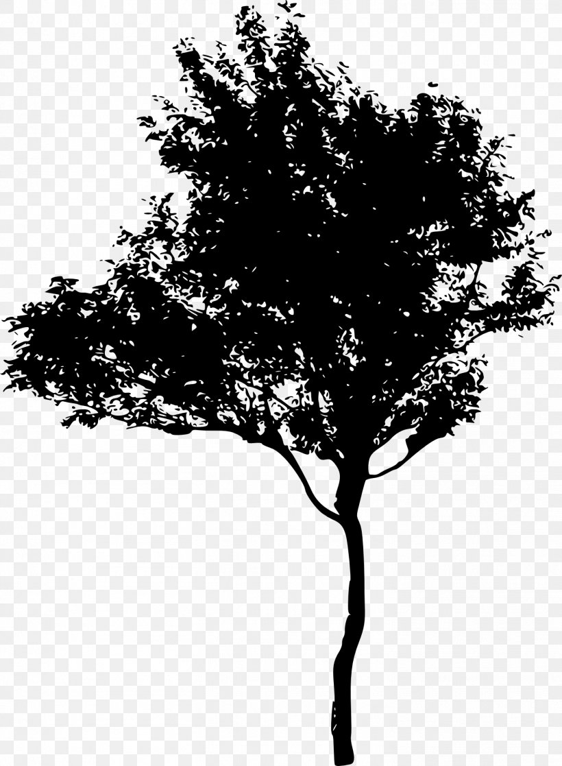 Branch Tree Silhouette Photography Image, PNG, 1468x2000px, Branch, Art, Blackandwhite, Drawing, Leaf Download Free