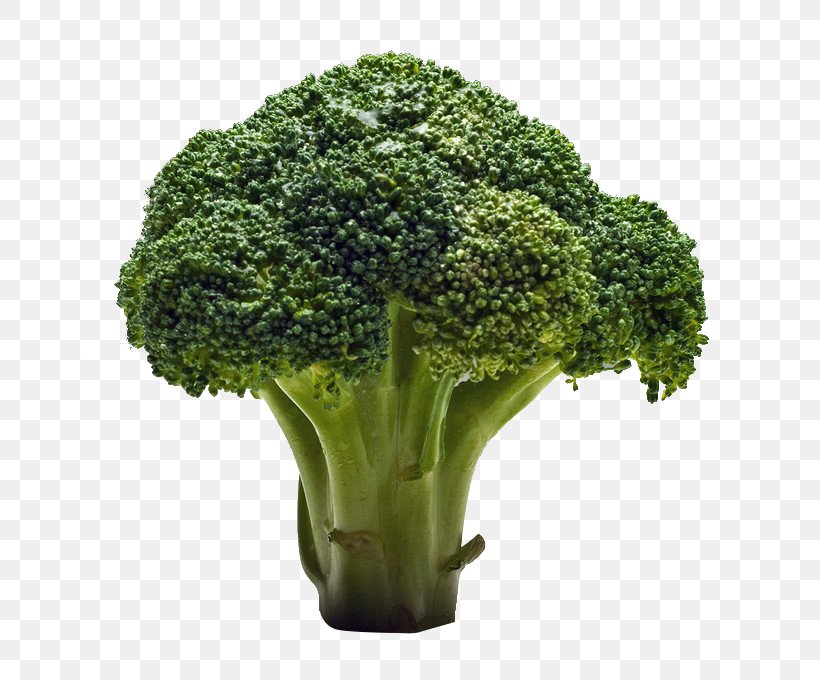 Broccoli Raw Foodism Fruit Salad Vegetable, PNG, 677x680px, Broccoli, Apple, Beetroot, Eating, Flowerpot Download Free