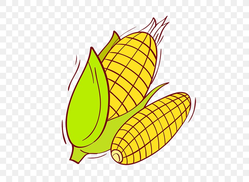 Corn On The Cob Sweet Corn Corncob White Corn, PNG, 600x600px, Corn On The Cob, Cartoon, Corn, Corncob, Drawing Download Free