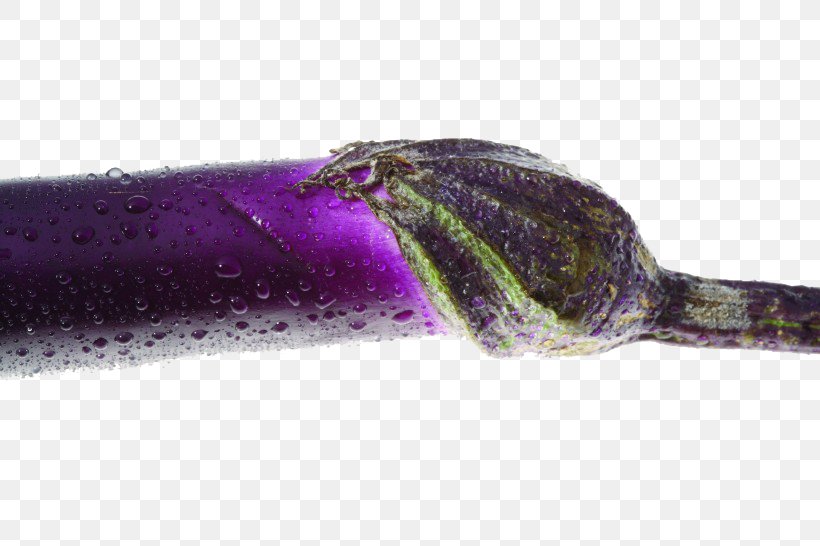 Eggplant Vegetable Drop, PNG, 820x546px, Eggplant, Drop, Gratis, Purple, Vegetable Download Free