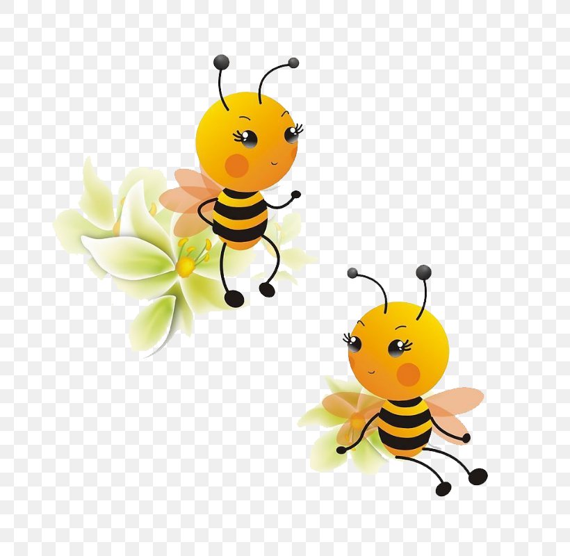Guizhou Apis Cerana Apidae Cartoon Beehive, PNG, 800x800px, Guizhou, Adventures Of Hutch The Honeybee, Animal Figure, Animation, Apidae Download Free