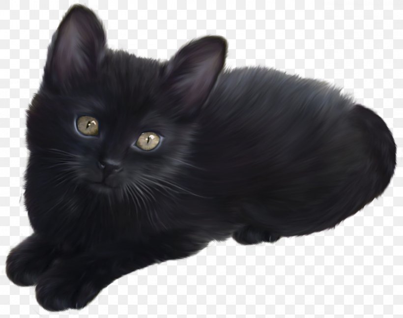 Kitten Himalayan Cat Siamese Cat Clip Art, PNG, 1280x1010px, Kitten, Asian Semi Longhair, Black, Black Cat, Bombay Download Free