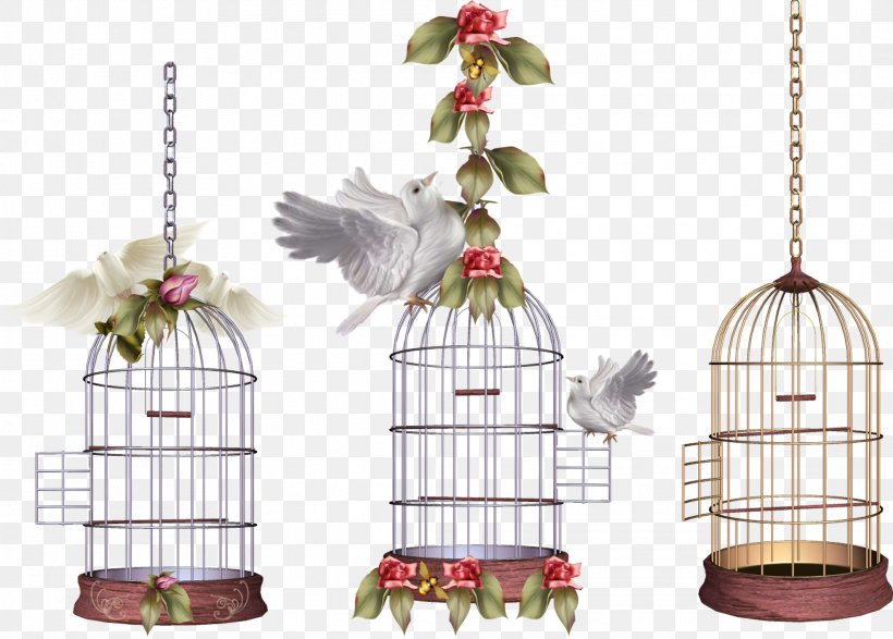 Lovebird Parrot Birdcage, PNG, 2126x1524px, Bird, Aviary, Bird Flight, Bird Nest, Birdcage Download Free
