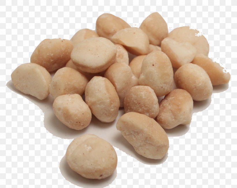 Peanut Macadamia Ingredient Bean, PNG, 1088x865px, Nut, Bean, Commodity, Ingredient, Macadamia Download Free