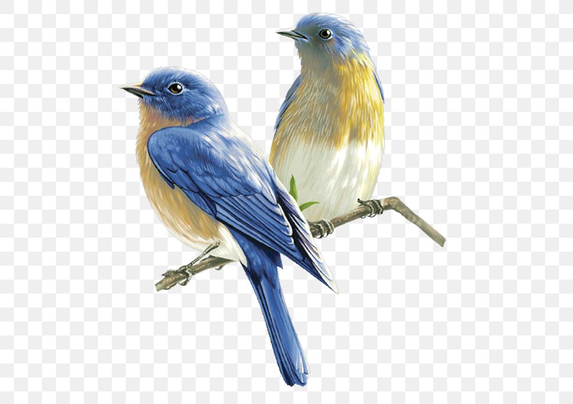 Bird Clip Art, PNG, 483x578px, Bird, Beak, Bluebird, Drawing, Emberizidae Download Free