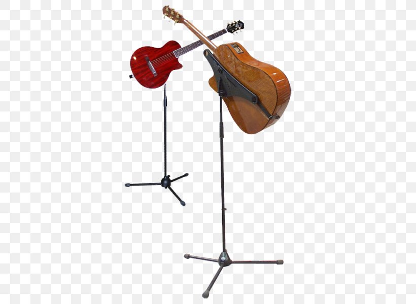 Cello Acoustic Guitar Electric Guitar Bass Guitar, PNG, 600x600px, Cello, Acoustic Guitar, Acoustic Music, Acousticelectric Guitar, Banjo Download Free