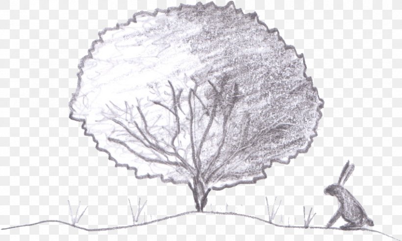 Drawing Tree Woody Plant Sketch, PNG, 849x511px, Drawing, Artwork, Black And White, Branch, Leaf Download Free
