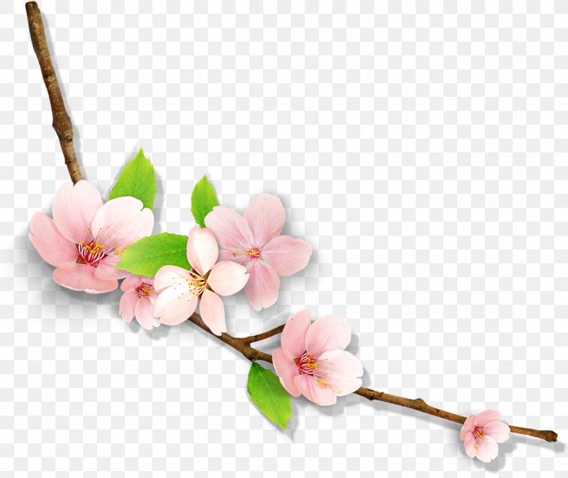 Flower Icon, PNG, 1306x1100px, Flower, Blossom, Branch, Cherry Blossom, Cut Flowers Download Free