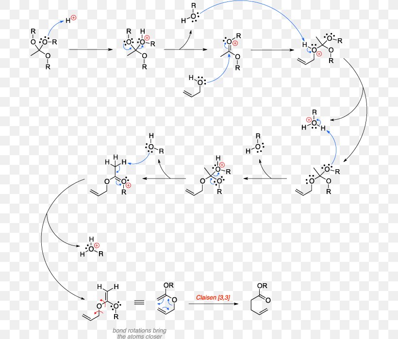 Line Point Angle, PNG, 694x699px, Point, Area, Diagram, Map, Organism Download Free