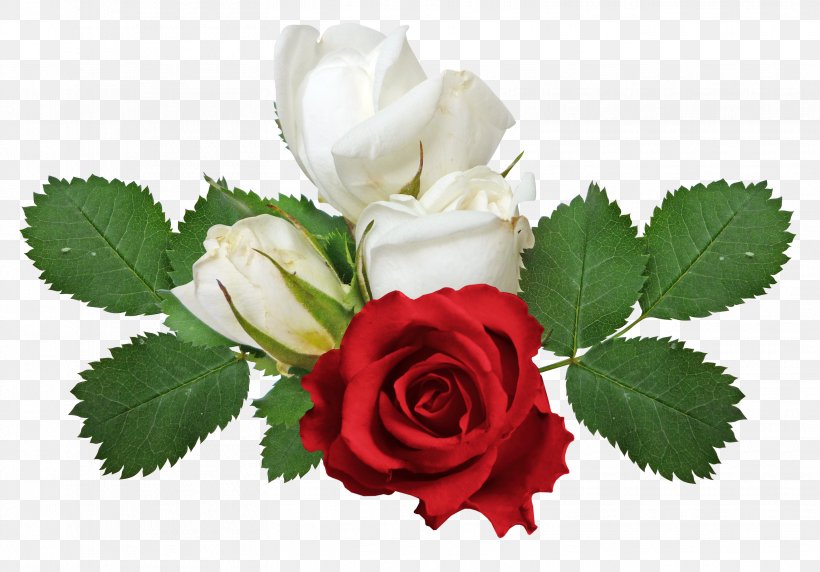 Rose Flower Clip Art, PNG, 3112x2173px, Rose, Cut Flowers, Floral Design, Floristry, Flower Download Free