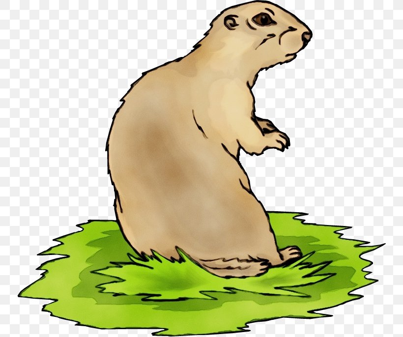 Groundhog Day, PNG, 750x686px, Watercolor, Cartoon, Ferret, Gopher, Groundhog Download Free