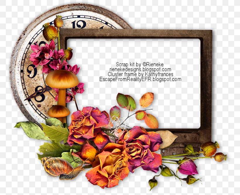 Picture Frames Floral Design Spice, PNG, 771x666px, Picture Frames, Applique, Art, Celebrity, Com Download Free