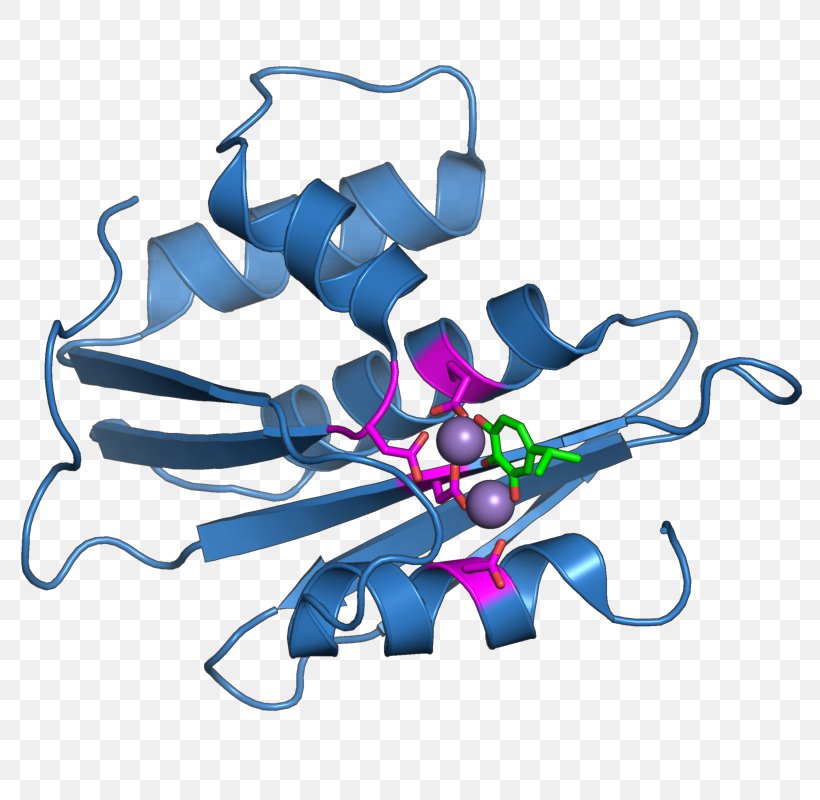 Retroviral Ribonuclease H Reverse Transcriptase Endoribonuclease, PNG, 800x800px, Ribonuclease, Active Site, Artwork, Catalysis, Endoribonuclease Download Free