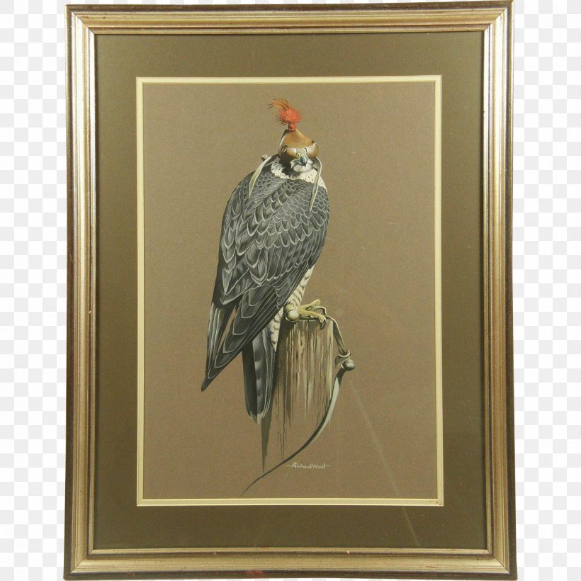 The Birds Of America Painting Art Printmaking, PNG, 1265x1265px, Bird, Art, Beak, Bird Of Prey, Birds Of America Download Free