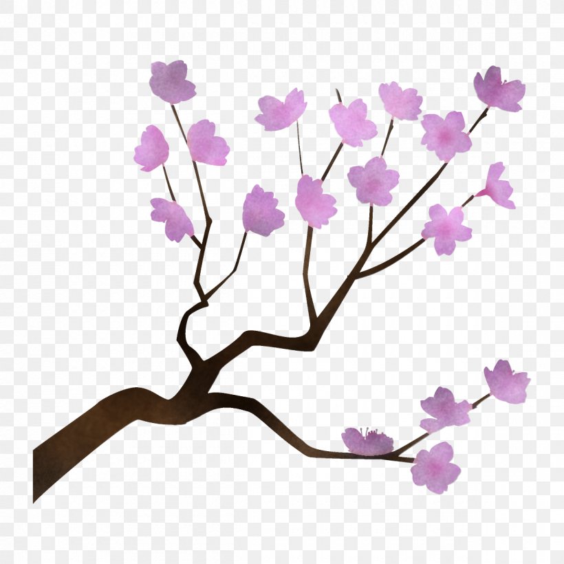 Branch Flower Plant Purple Violet, PNG, 1200x1200px, Branch, Blossom, Cut Flowers, Flower, Lilac Download Free