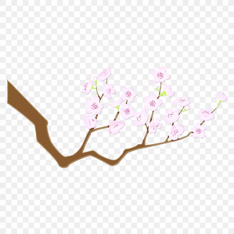 Cherry Blossom, PNG, 1200x1200px, Watercolor, Blossom, Branch, Cherry Blossom, Flower Download Free