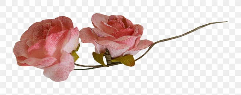 Garden Roses Pink Nosegay Flower, PNG, 1024x406px, Garden Roses, Beach Rose, Body Jewelry, Color, Cut Flowers Download Free