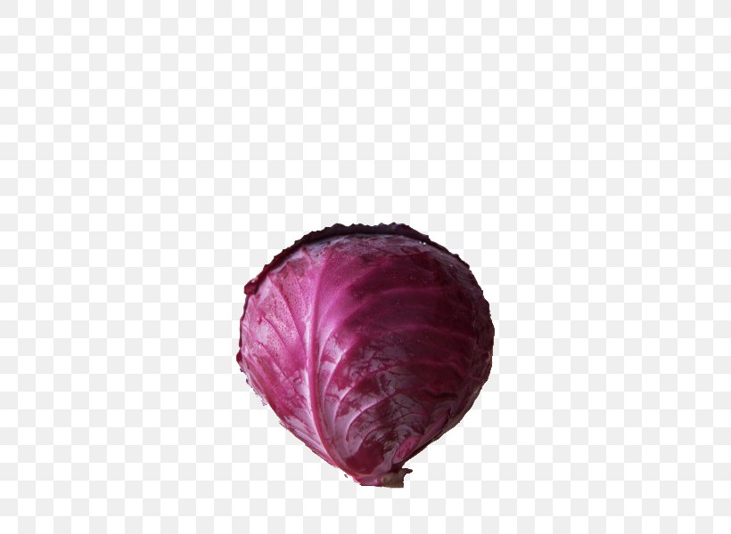 Red Cabbage Juice Savoy Cabbage Organic Food, PNG, 425x600px, Red Cabbage, Brassica Oleracea, Cabbage, Cabbage Family, Color Download Free