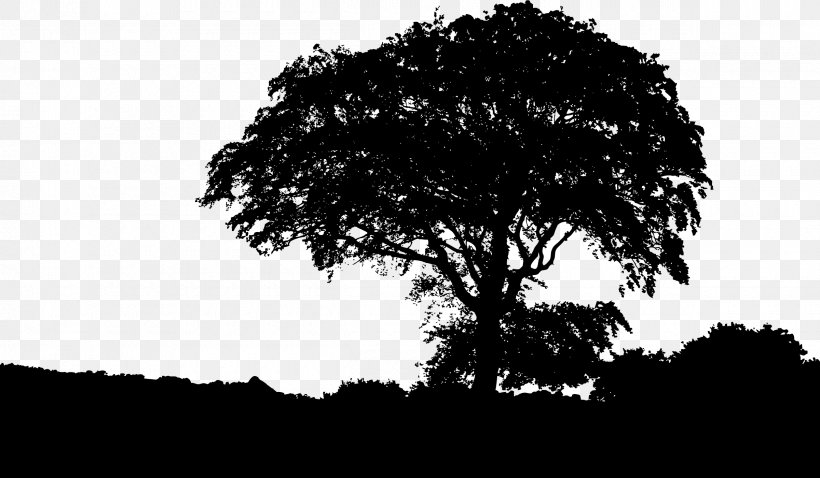 Silhouette Landscape Nature Drawing, PNG, 2400x1401px, Silhouette, Black And White, Branch, Drawing, Grass Download Free