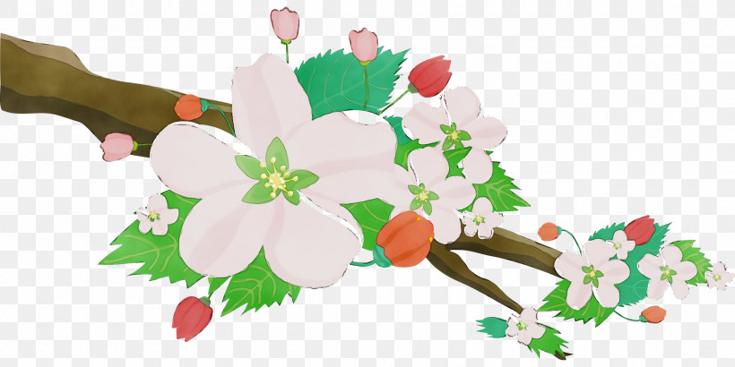 Holly, PNG, 1920x960px, Spring Flower, Bouquet, Branch, Cut Flowers, Flower Download Free