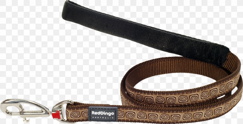 Leash Dog Dingo Cat Puppy, PNG, 3000x1533px, Leash, Belt, Cat, Collar, Dingo Download Free